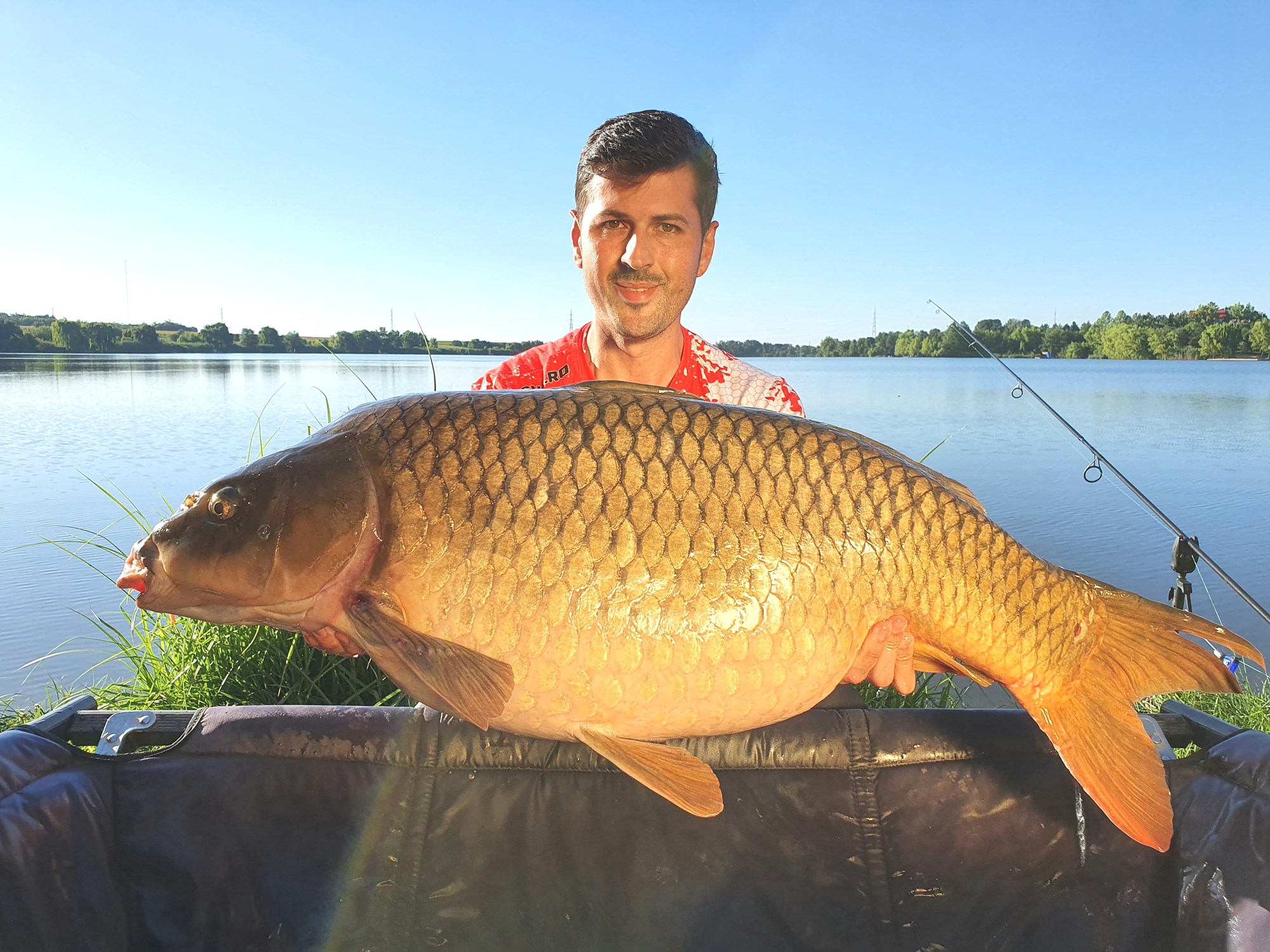 Tancabesti 9 - 12 iulie 2020 - 20 kg